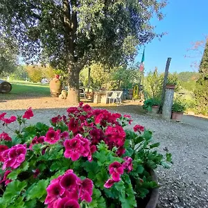 Azienda Agricola Polveraia Agroturismo